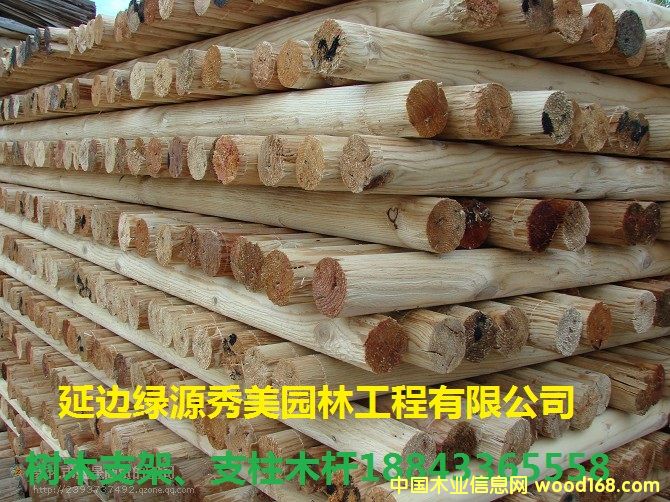 ��ľ֧��ľ�U��Ԕ��(x��)��B