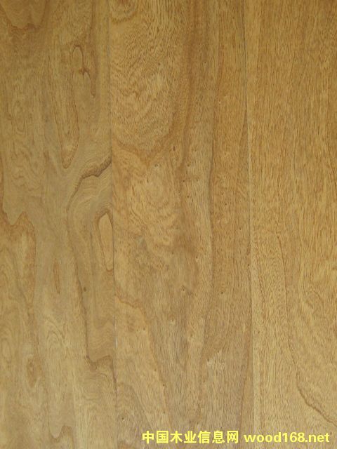 �����ľɫHLNP201202��Ԕ��(x��)��B