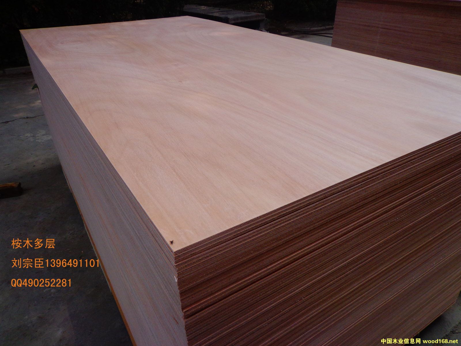 ���Ӱ��z�� ���ϰ���ڵ�Ԕ����B