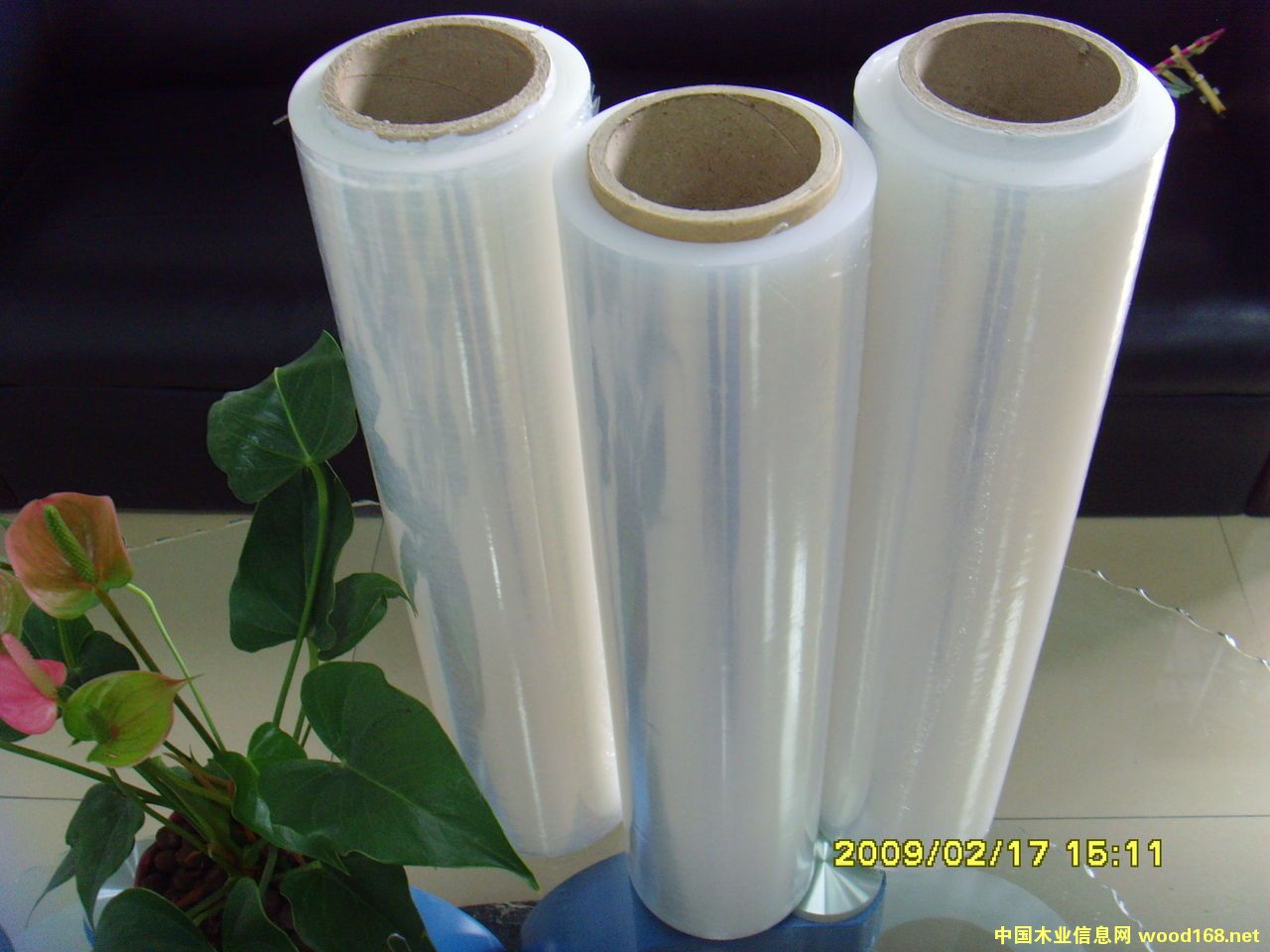 �����p�@Ĥ��Ԕ����B