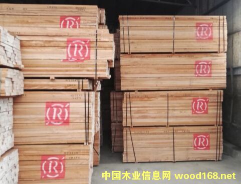 R1的詳細(xì)介紹