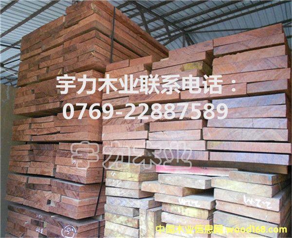 �ͻ���Ķ���