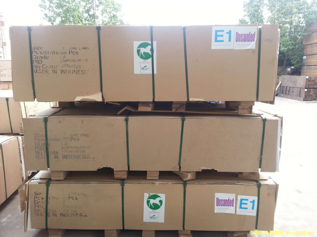 �M�����w���Ԕ����B