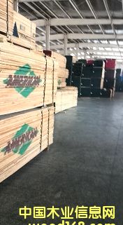 ���V��Ԕ��(x��)��B