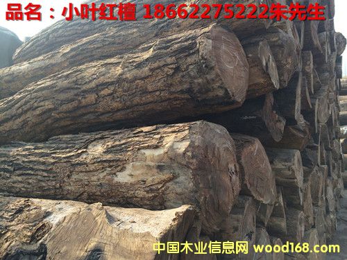 С�~�t̴��Ԕ��(x��)��B