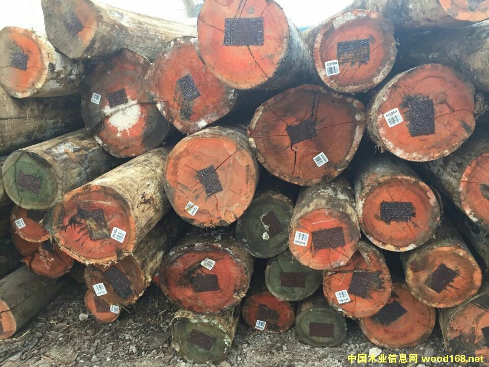 õ��ľ��Ԕ��(x��)��B