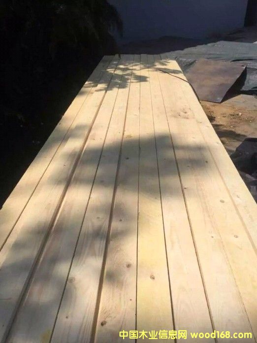 19*100��ɼ��Ԕ��(x��)��B