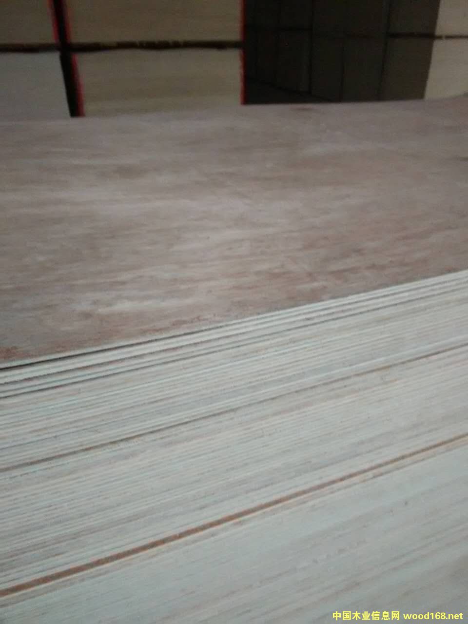 [��] �����z�ϰ�S�Ҽ�ֱ�N�h(hu��n)���zE0���e�Ҿ߰壬���b��