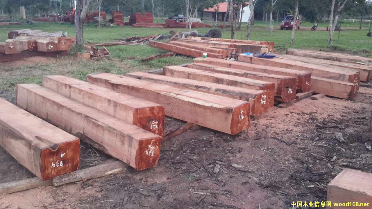 �߲�ľ TARARA��Ԕ����B