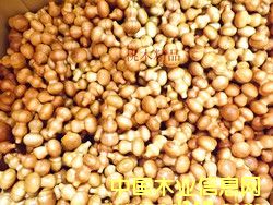 ���J��Ԕ��(x��)��B