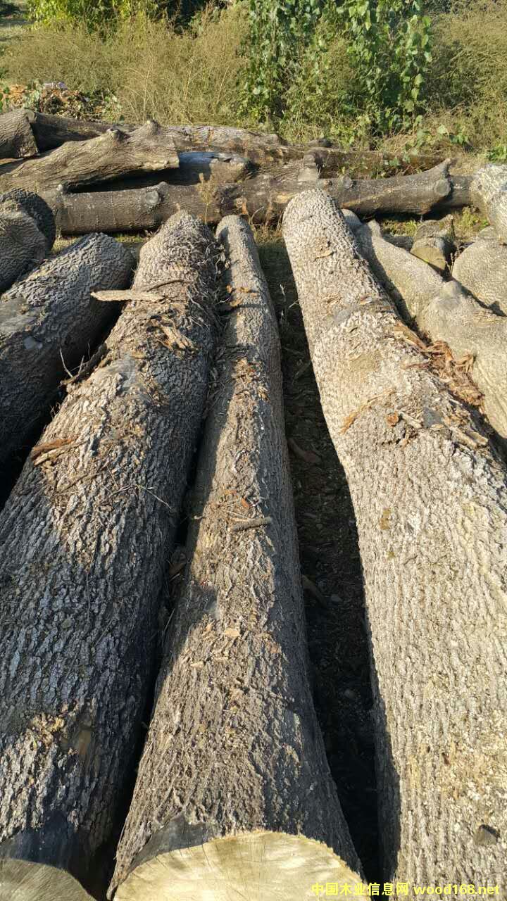 ��Ϟ?z��i)���Ԕ�?x��)��B