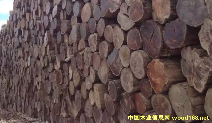 ������ľ��Ԕ��(x��)��B