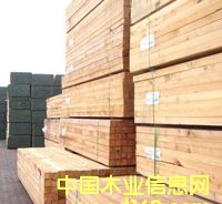 һ��(j��)ɼ�|(zh��)��ľ��Ԕ��(x��)��B