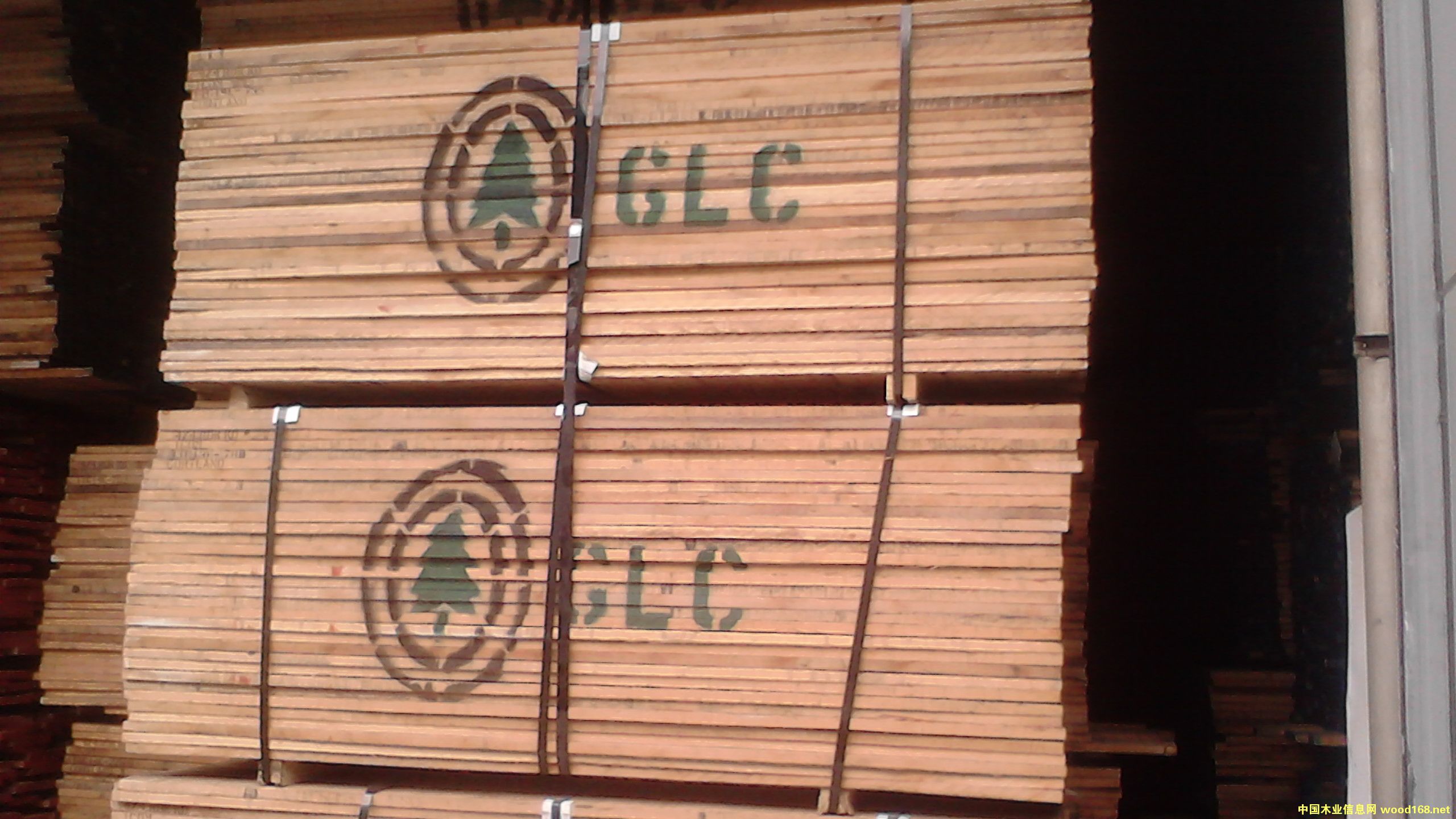 紅橡木的詳細介紹