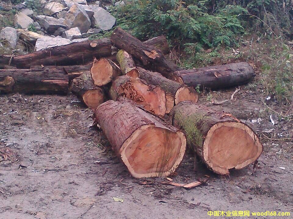 ��ľ��Ԕ��(x��)��B