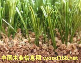 �����ƺ����w�� ܛľ����Ԕ��(x��)��B