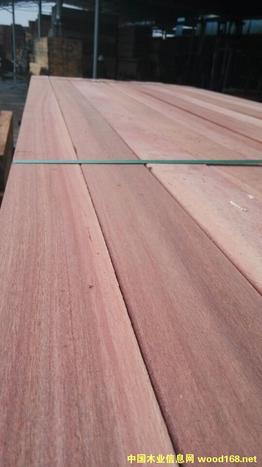 ����ľԭľ������ľ�S��