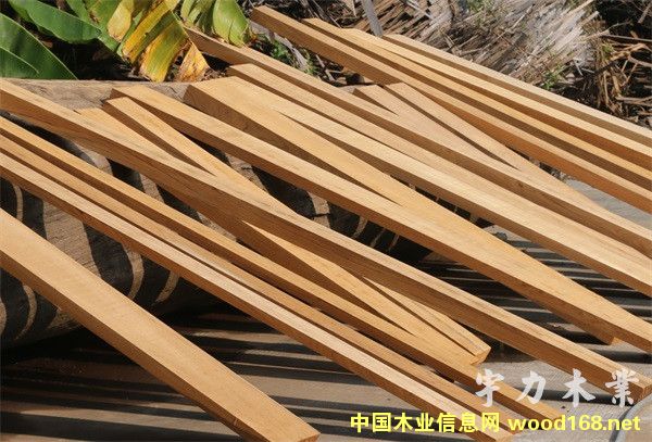 ������ľҎ(gu��)���ϵ�Ԕ��(x��)��B