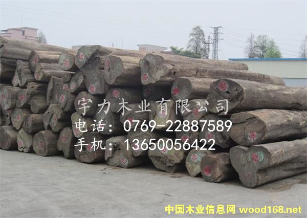 ��ľԭľ���Q(m��o)�ĵ�Ԕ��(x��)��B