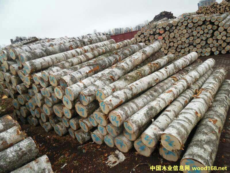 ��Ó�S����ľԭľ��Ԕ��(x��)��B