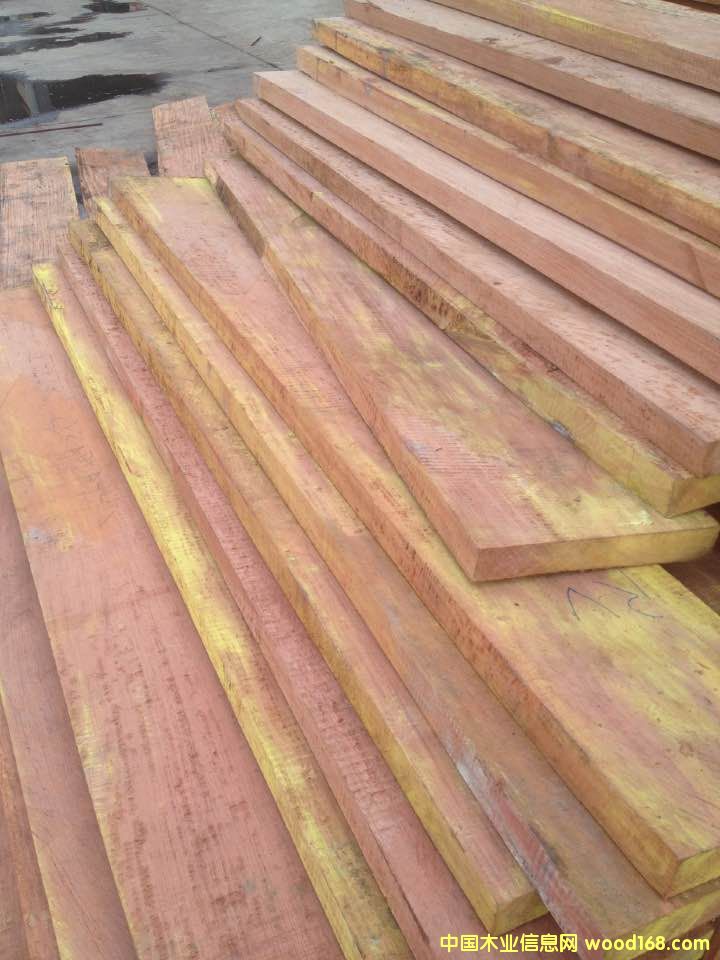 高山巴花的詳細(xì)介紹