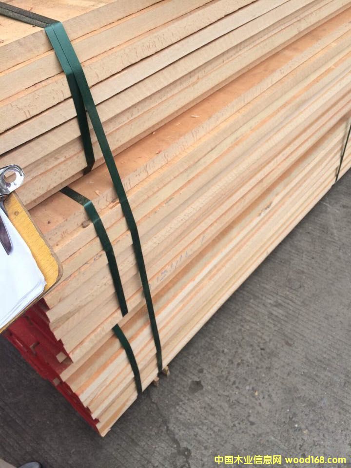 櫸木的詳細(xì)介紹