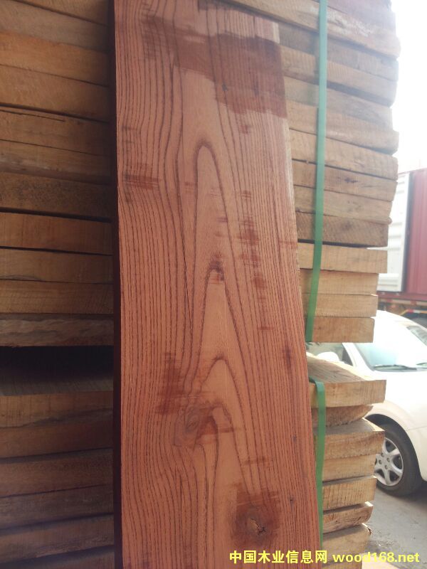 紅椿香椿的詳細(xì)介紹