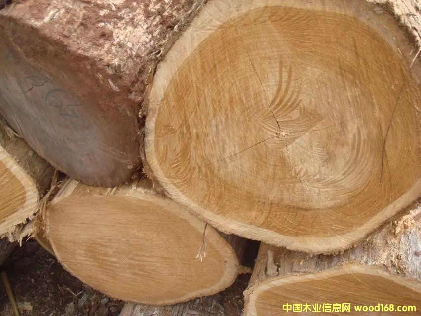 ��ľԭľ3��Ԕ��(x��)��B