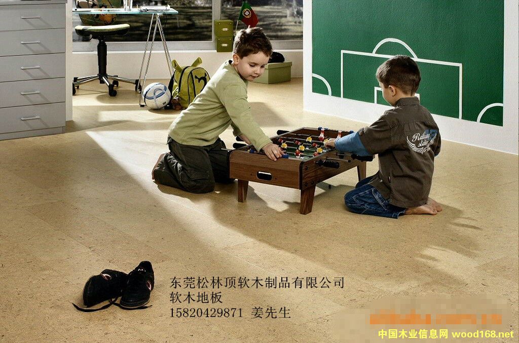 ܛľ�ذ�ϵ��