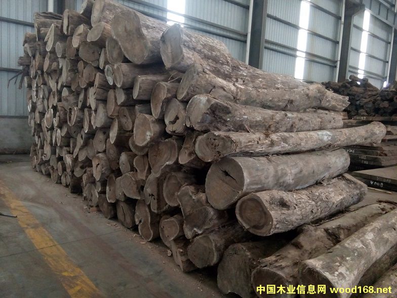 ī�����S��̴��Ԕ����B