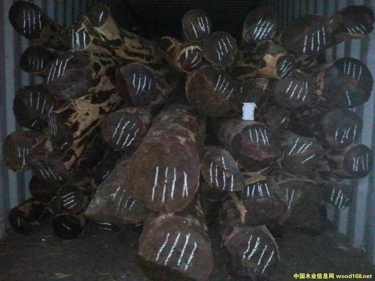 ٝ�ȁ�Ѫ̴��Ƥ��Ԕ����B