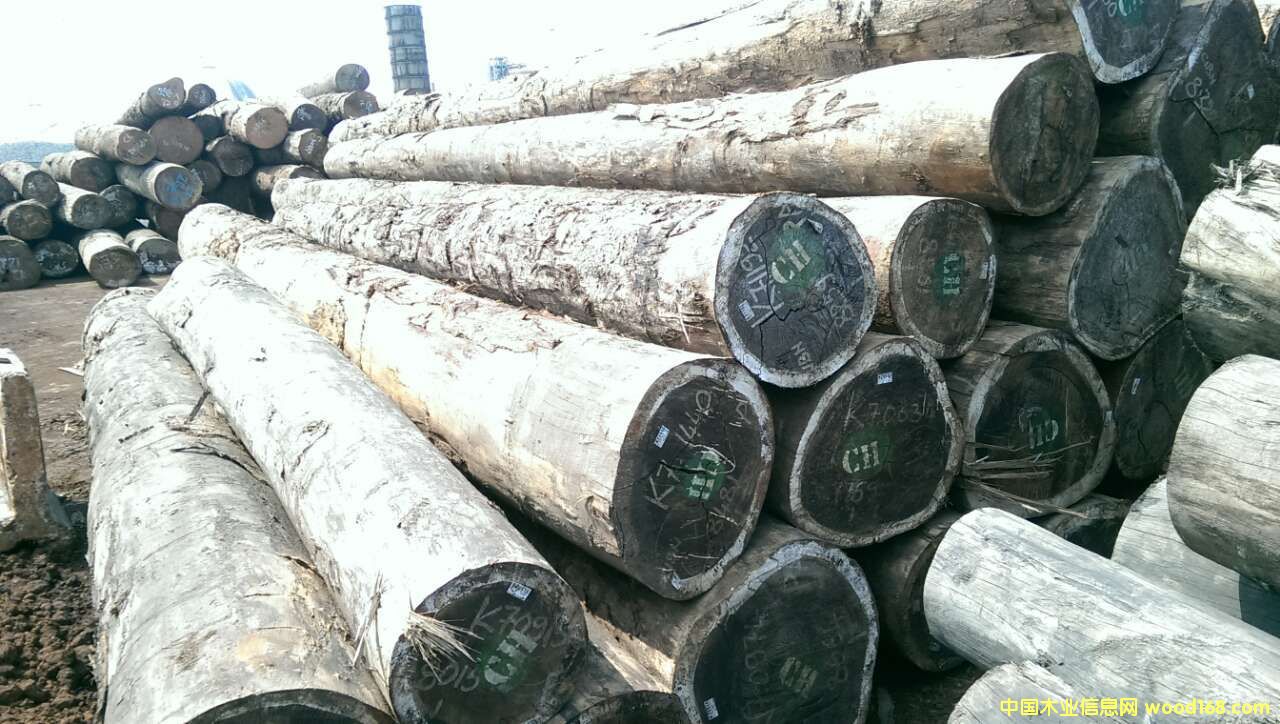 紅花梨的詳細介紹