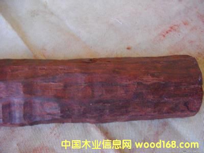 ����С�~��̴������ ߅����