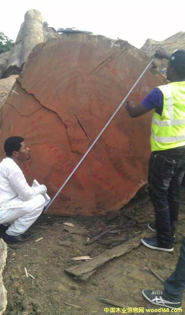 ��ڏ��ͻ���Ԕ��(x��)��B