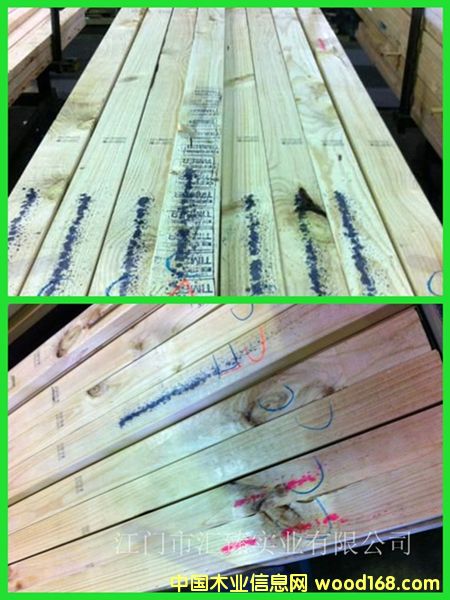 ���_(d��)�Sݗ���ɰ�Ľ������������ٹ��Ԕ��(x��)��B