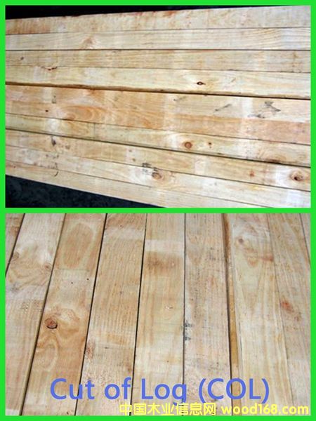 PAN PAC���Scol�Ҿ߼�(j��)��Ԕ��(x��)��B