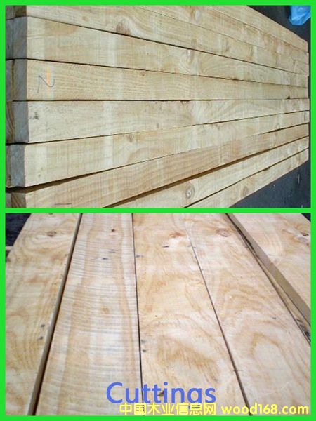 PAN PAC���Scuts�ȼ�(j��)��Ԕ��(x��)��B