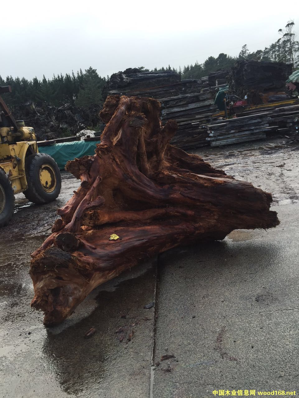 �����m5�f(w��n)��ꎳ�ľ ��(sh��)�^��Ԕ��(x��)��B