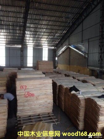 ��ľ�ΰ��Ԕ��(x��)��B