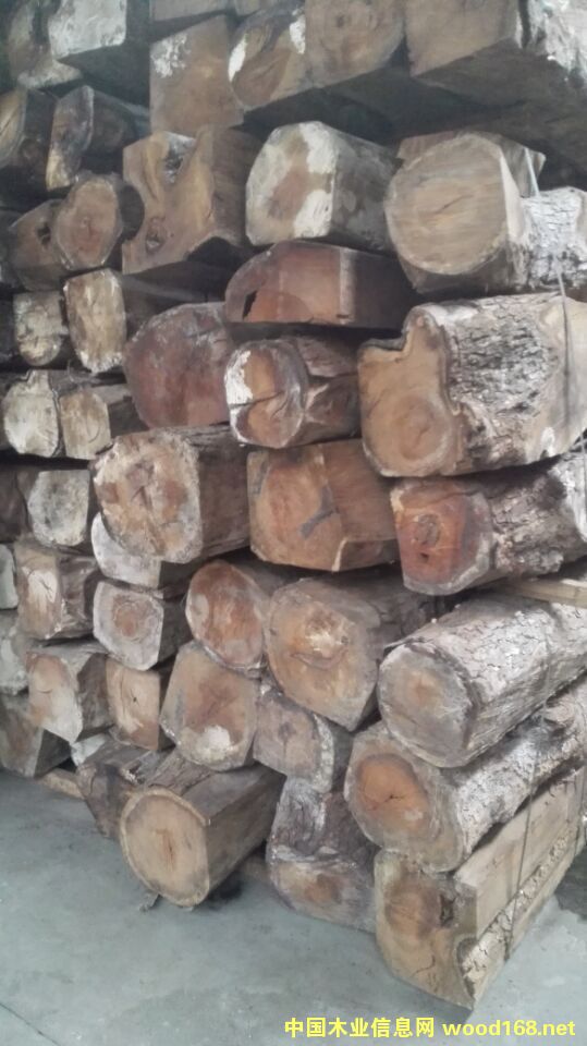 �������Ԕ����B