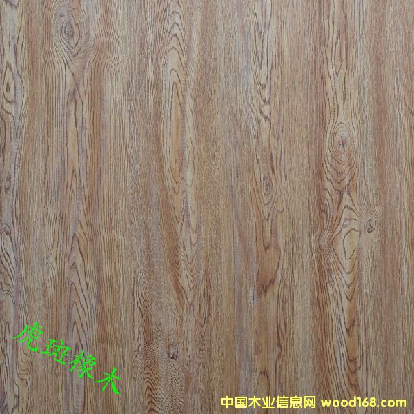 ������ľ��Ԕ����B