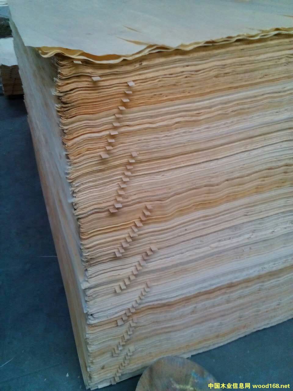 ��ľ�ΰ��Ԕ����B