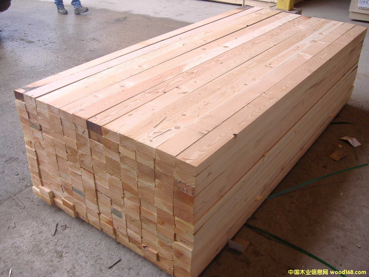 ������/ �����Sɼ