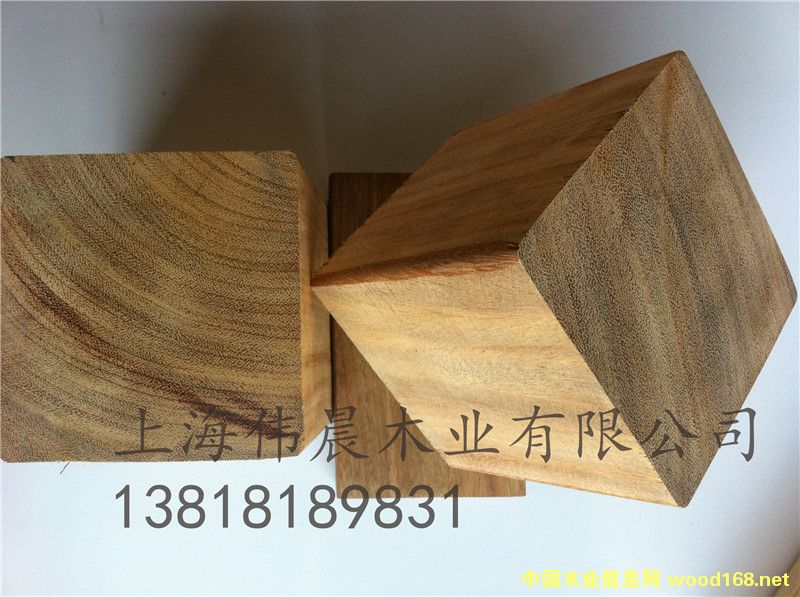 [��] �������޲��}�����ľ�ذ�