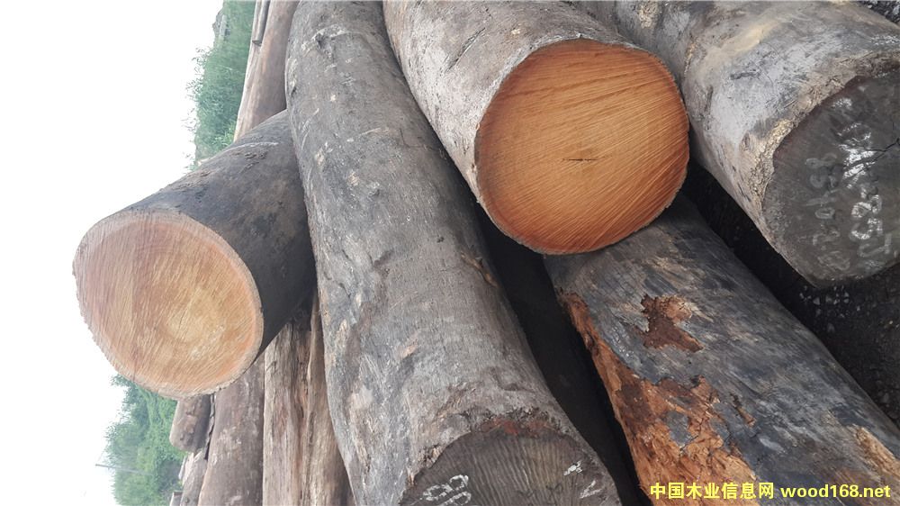 [��] ���É|ľ��ľ-��¡ľ�|ľ���ڂ��҉|ľ