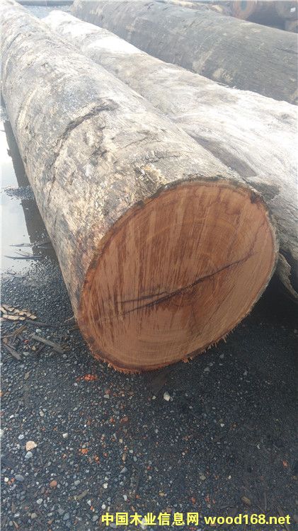 [��] ӡ�Ფ�}��r(ji��)�� ���}�����a(ch��n)�S��