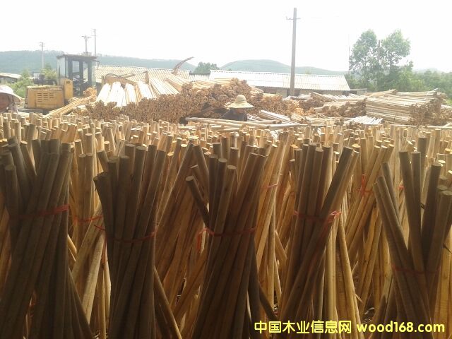 ��ľ�ĵ�Ԕ��(x��)��B