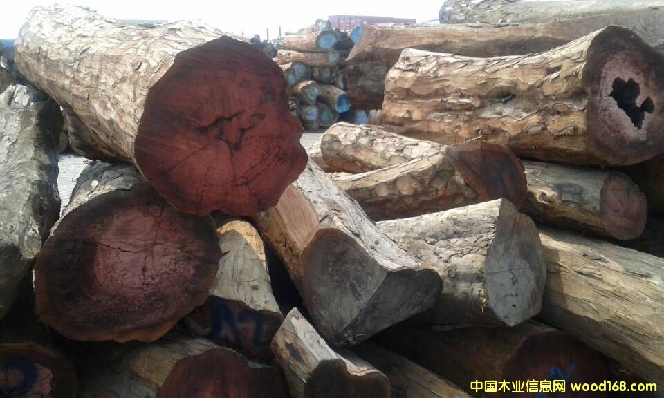 �����t��֦��Ԕ��(x��)��B