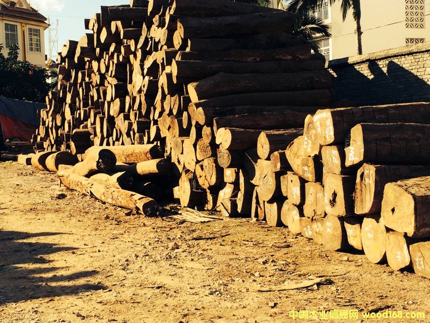 緬甸花梨的詳細(xì)介紹