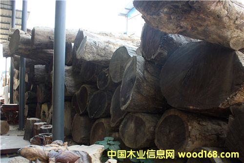 黃心楠的詳細(xì)介紹